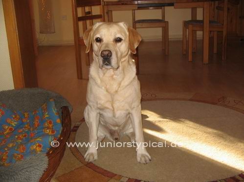 Balu