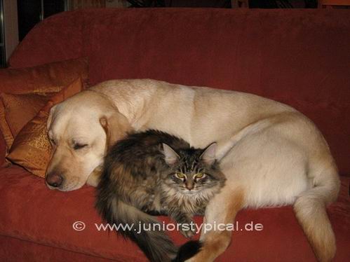 Theo und Emma