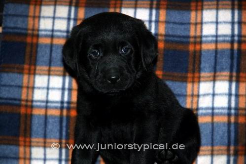 Monty