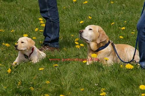 Kyra und Merlin