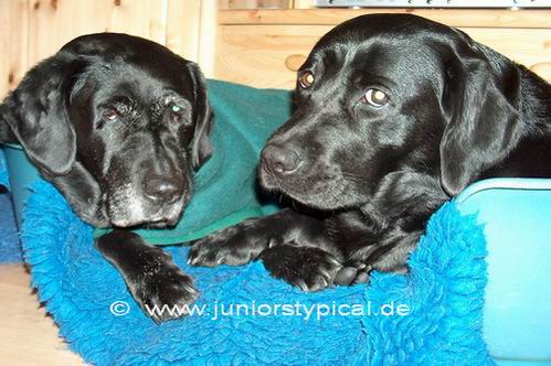 Rieke und Nele